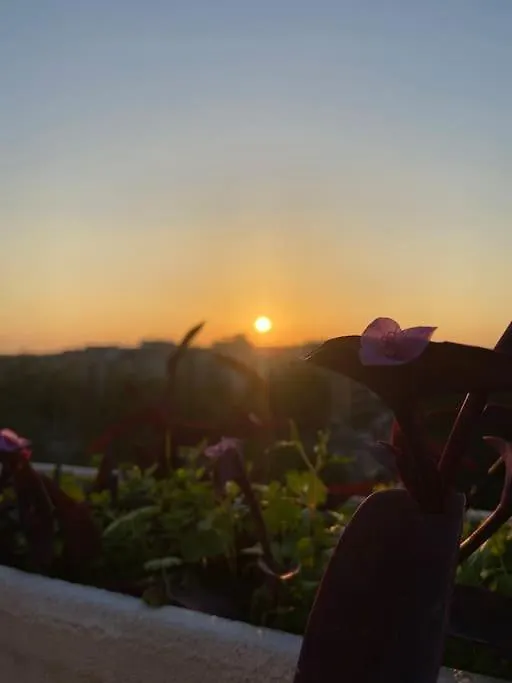 Attico Panoramico Gardenie Apartment Rome